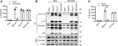 Inhibition of the NLRP3 Inflammasome Activation by Manoalide Ameliorates Experimental Autoimmune Encephalomyelitis Pathogenesis